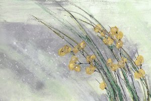 Myke gule blomster