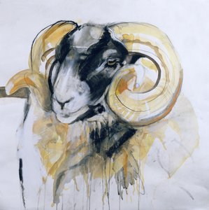 Long Horn Sheep (blandet media)