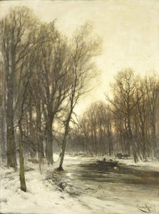 En ettermiddagsutsikt over Snowy Woods