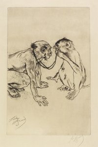 Sammenlignende anatomi av Louis Auguste Mathieu Legrand