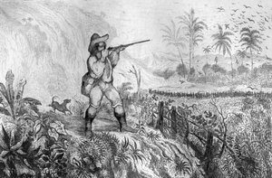 Jeg drepte tre... gravering etter M. de Sainsons tegning for boken til Daniel Defoe (De foe) "Robinson Crusoe"" fransk utgave av 1837.