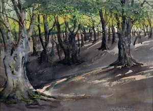 The Heart of Epping Forest, High Beech