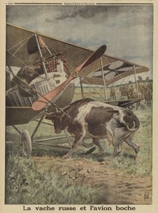 Ku som hindrer et tysk fly fra å ta av, Lutsk, Russland, første verdenskrig