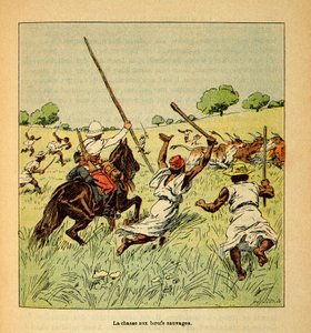 The War in Madagascar-Anecdotal History of the French Expeditions of 1885-1895 av Henri Galli dit Galllichet (1854-1922), illustrert av Louis Bombled (1862-1927): Jakten på ville okser i Madagaskar i 1895, privat samling av Louis Charles Bombled