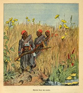 Krigen i Madagaskar-Anekdotisk historie om de franske ekspedisjonene 1885-1895 av Henri Galli dit Galllichet (1854-1922), illustrert av Louis Bombled (1862-1927): Franske tropper på ekspedisjon i myrene på Madagaskar i 1895, Privat samling av Louis Charles Bombled