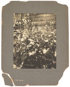 Tiffany Studios, ca. 1898-1920 (fotografi s/h) av Louis Comfort Tiffany