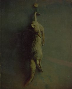 Fox, ca. 1870. av Louis Ducos du Hauron