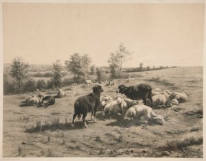 Sauene av Louis Emmanuel Soulange Teissier
