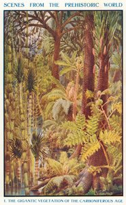 Den gigantiske vegetasjonen fra karbontiden (fargelitografi) av Louis Fairfax Muckley