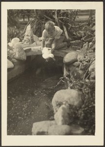  av Louis Fleckenstein