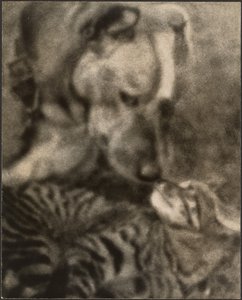  av Louis Fleckenstein