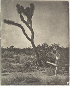 [Danser ved Joshua Tree] av Louis Fleckenstein