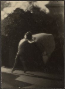  av Louis Fleckenstein