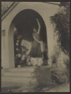  av Louis Fleckenstein