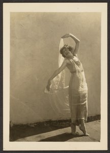  av Louis Fleckenstein