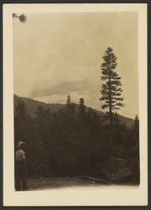 [Idyllisk] av Louis Fleckenstein