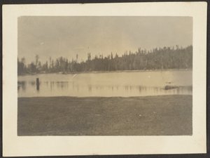 [Landskap] av Louis Fleckenstein