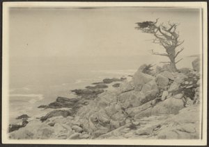 [Landskap]