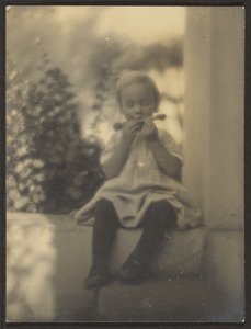  av Louis Fleckenstein