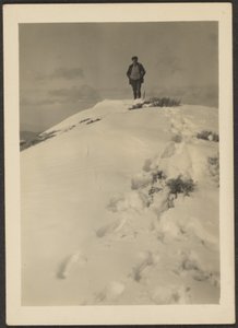  av Louis Fleckenstein