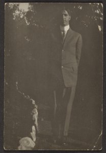  av Louis Fleckenstein