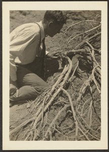  av Louis Fleckenstein