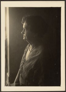  av Louis Fleckenstein
