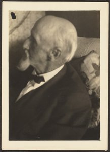  av Louis Fleckenstein