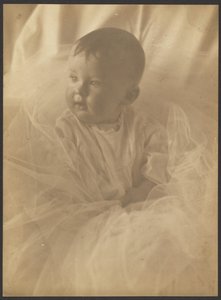  av Louis Fleckenstein