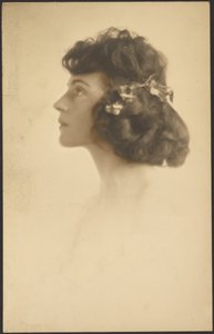  av Louis Fleckenstein