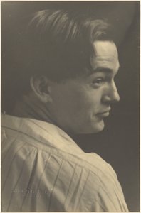  av Louis Fleckenstein