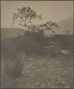  av Louis Fleckenstein