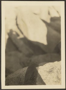  av Louis Fleckenstein