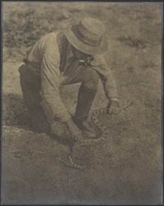  av Louis Fleckenstein