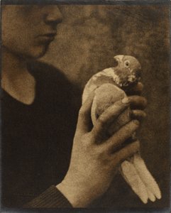  av Louis Fleckenstein