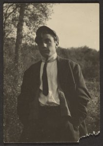  av Louis Fleckenstein