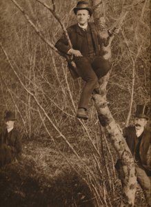 Mann satt i et tre, 1937