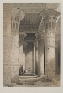 Egypt og Nubia, bind I: View Under the Grand Portico of the Temple, Philae av Louis Haghe