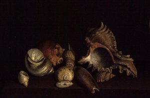 Still Life of Shells on a Ledge, 1600-tallet av Louis Hubner