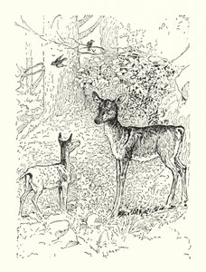  av Louis John Rhead