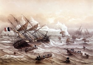 Hvalfangst på Newfoundland. Maleri av Lebreton. Tidlig på 1800-tallet.