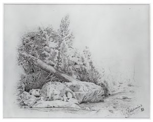 Fallen Tree, Keene Valley, 25. juli 1883. av Louis Michel Eilshemius