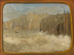 To måker og klipper, ca. 1913-1921.