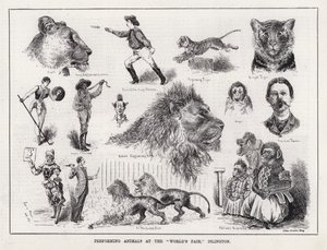 Utøvende dyr på "verdensmessen," Islington (gravering) av Louis Wain