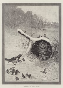 Besittelse er ni punkter i loven av Louis Wain