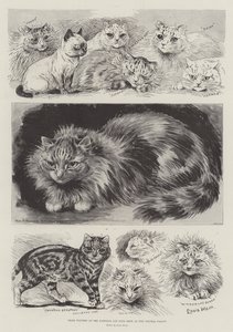 Prisvinnere på National Cat Club Show på Crystal Palace av Louis Wain
