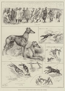 Skisser på Waterloo Coursing Meeting, Altcar, nær Liverpool (gravering) av Louis Wain