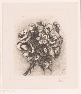 Blomsterstilleben med valmuer og anemoner av Louise Elsen
