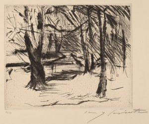 Trær med soltrær i solen, 1920-1921. av Lovis Corinth