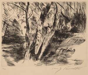 Bjørketrær i Tiergarten av Lovis Corinth